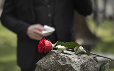 Att sätta ord på sorg – fina dikter om döden
